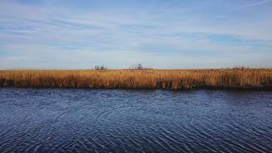Great spot for birdwatching.