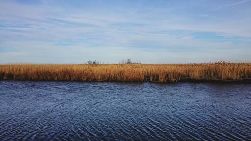 Great spot for birdwatching.