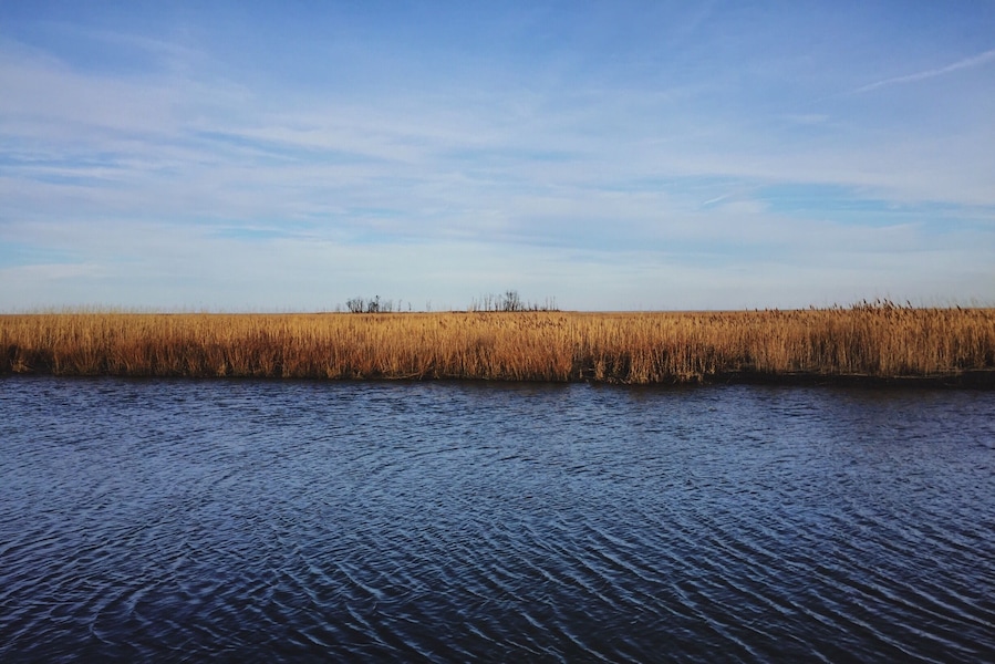 Great spot for birdwatching.