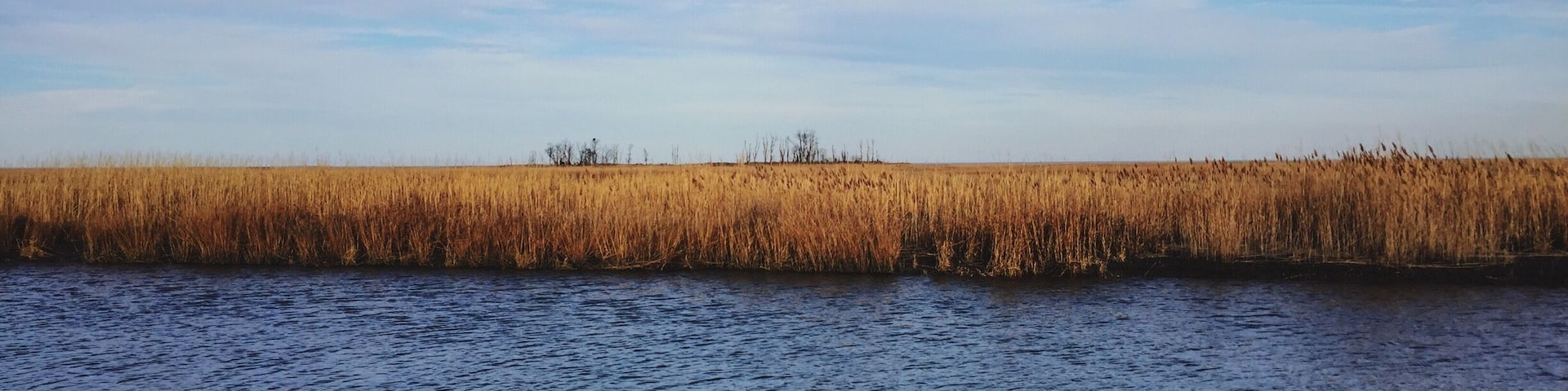 Great spot for birdwatching.