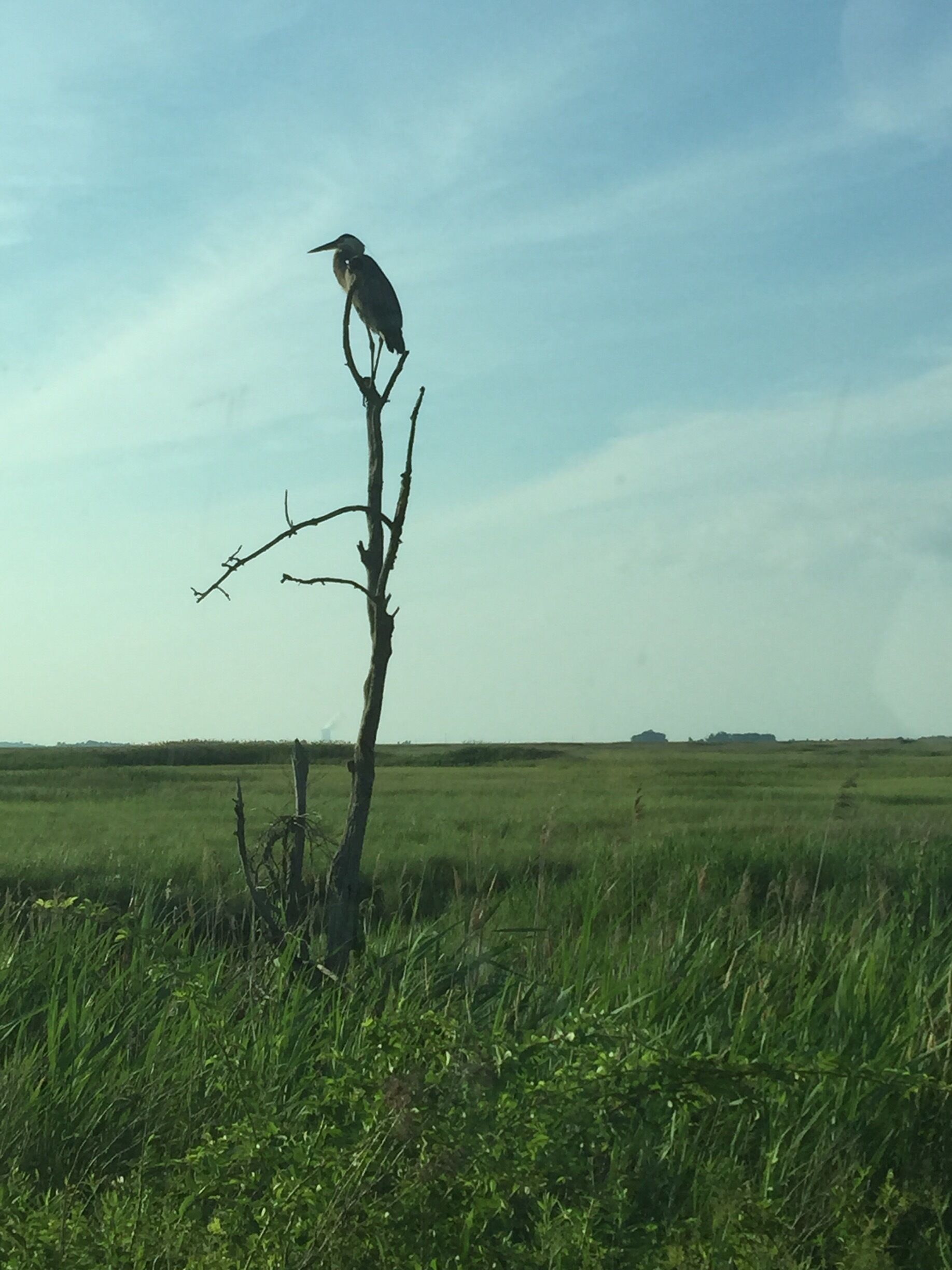 Very laid back place to explore everything in its natural habitat. Bring bug spray!!! #green