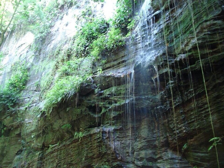 Between Imperatriz and Carolina we find a waterfall called Pedra Caída. We need to for about 20/15 minutes to get there. This picture was taken on the way to the fall. It's a special place.