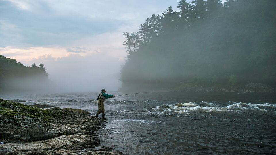 A person fishing by a rocky riverbank with dense forest in the background.
