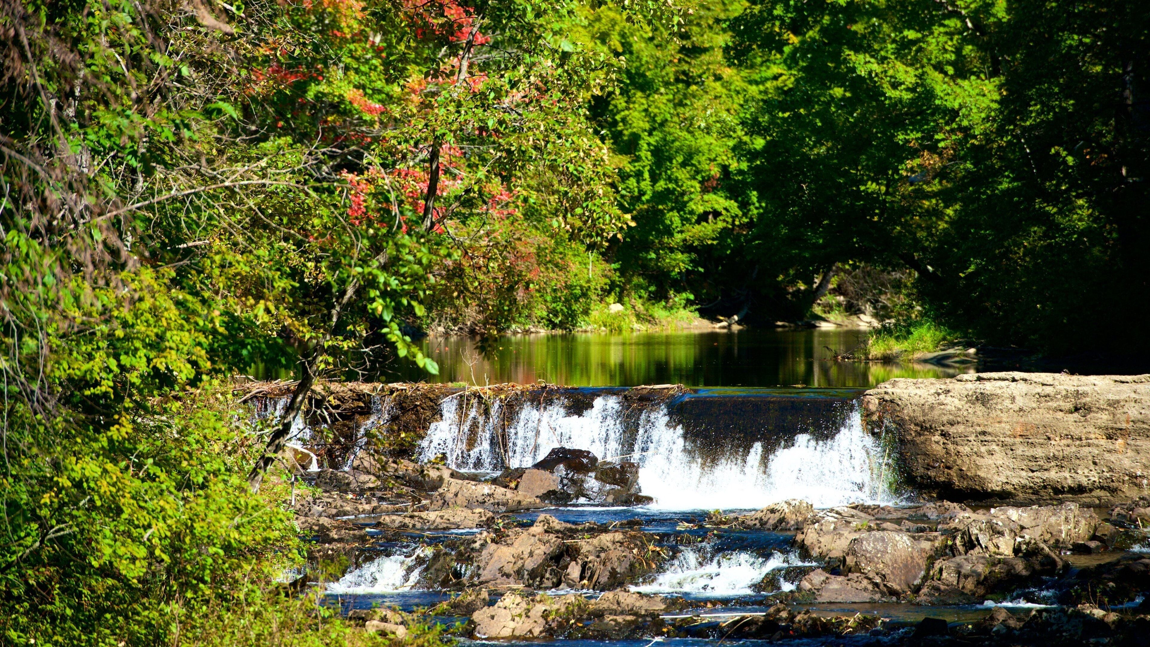 A waterfall cascading over rocks in a forested area with a calm lake in the background.