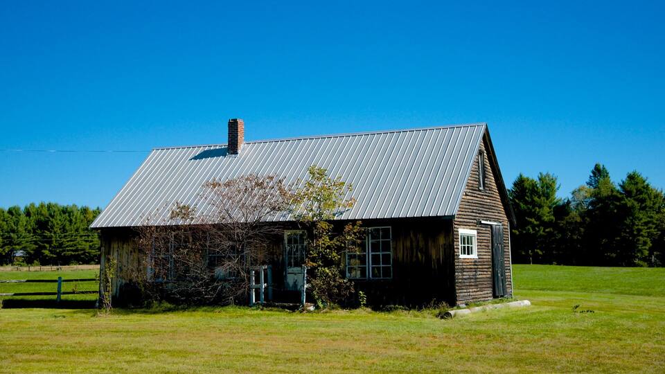 A rustic wooden house with a metal roof, surrounded by a grassy field and trees.