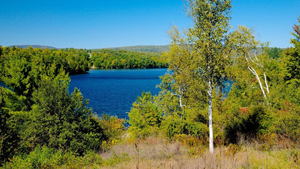 A lake surrounded by dense forest and hills.