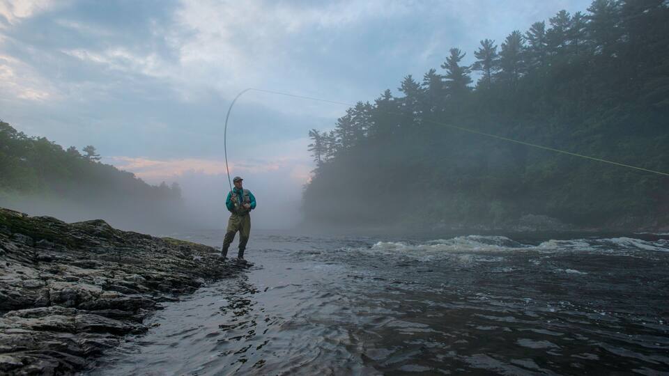 A person fishing by a river with a forest in the background.