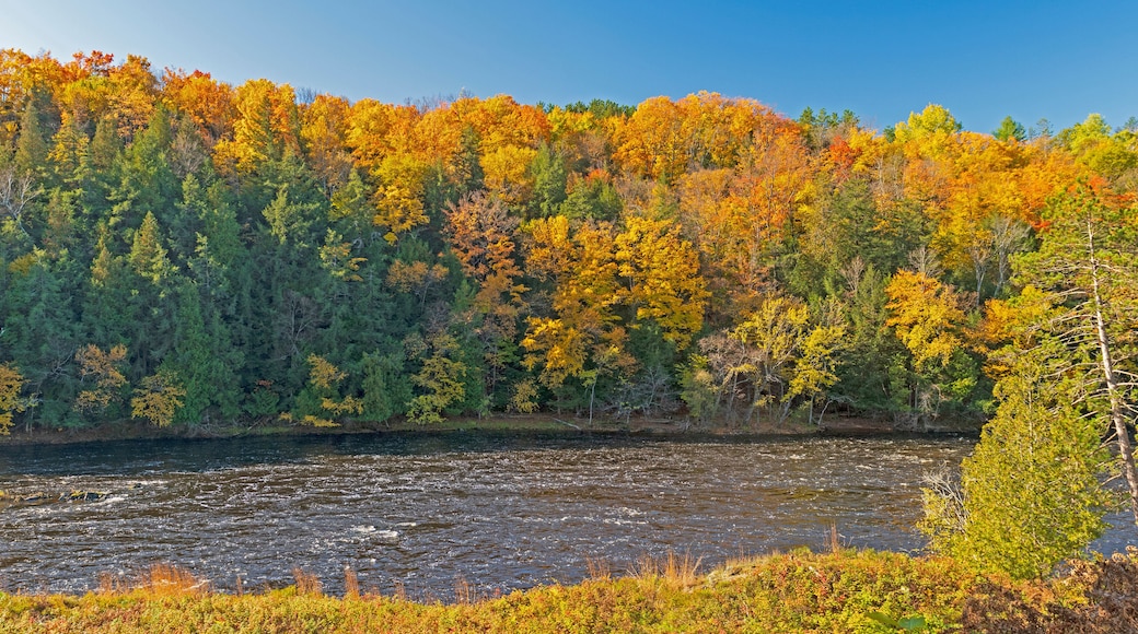 Colors of the North Woods in Fall