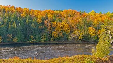Colors of the North Woods in Fall