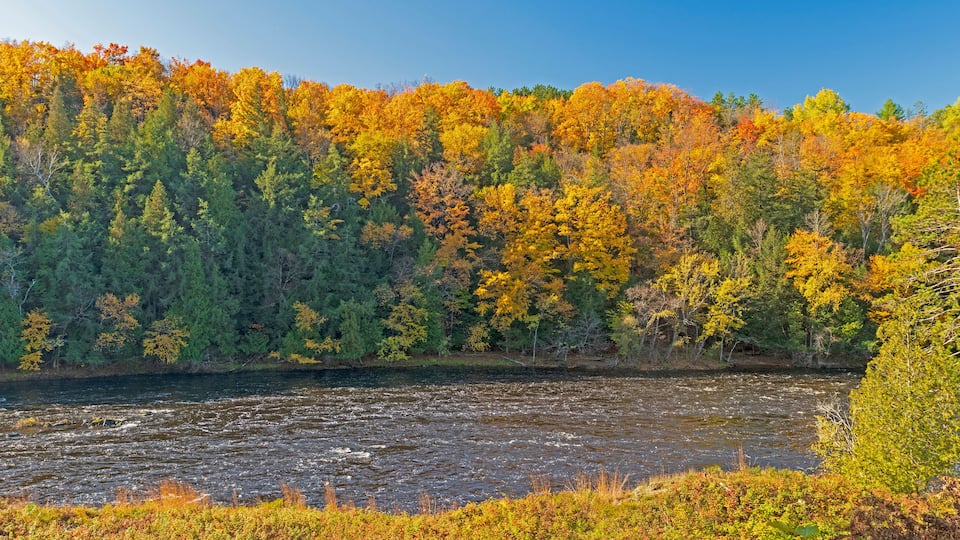 A river surrounded by autumn-colored trees.