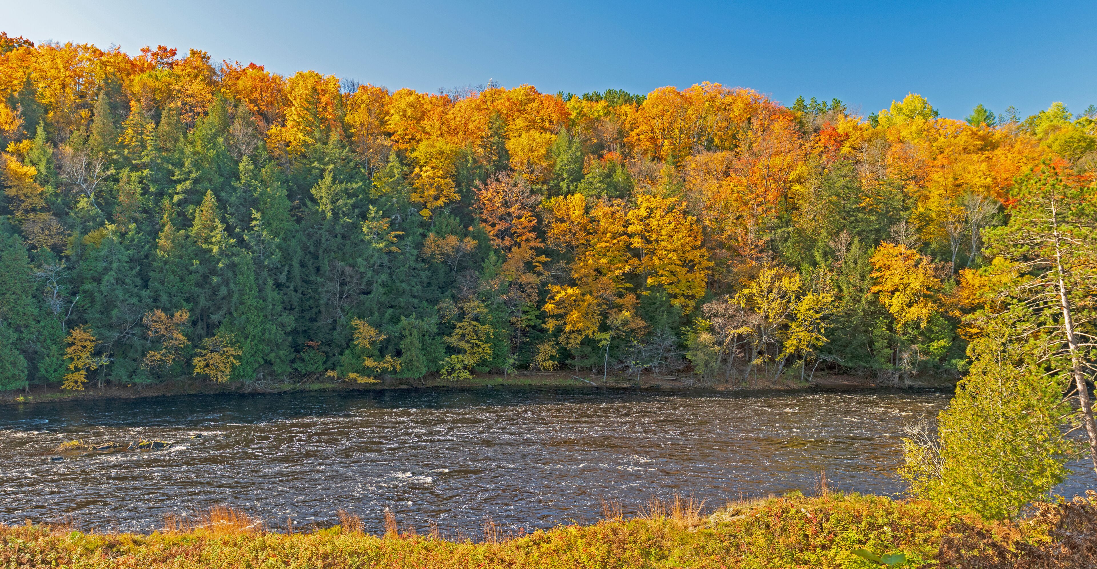 A river surrounded by autumn-colored trees.