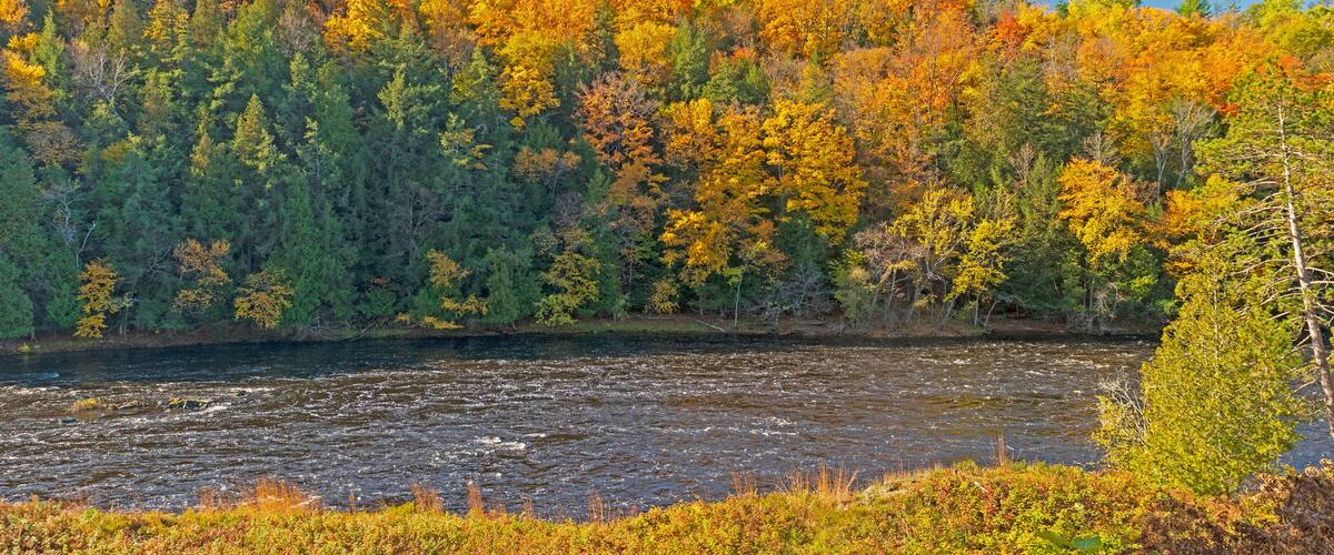 A river surrounded by autumn-colored trees.