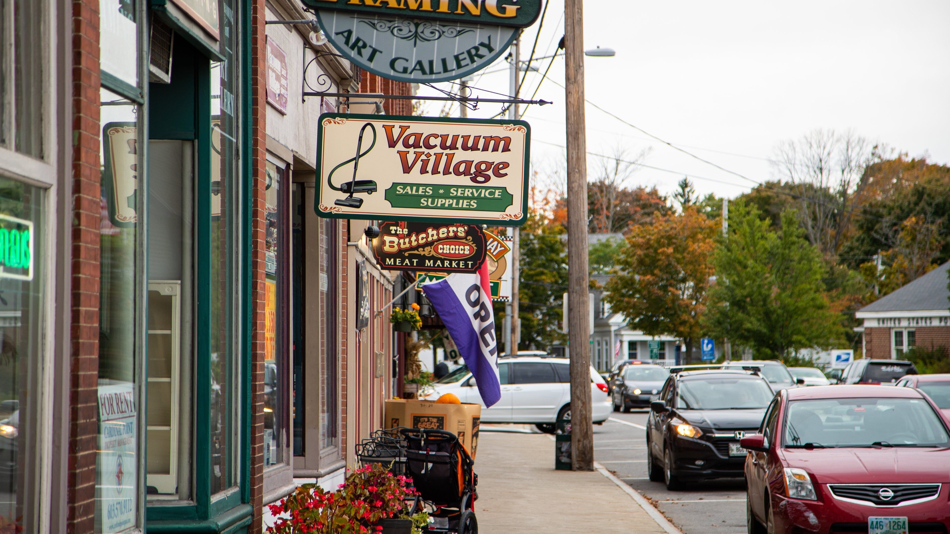 A street with various shops, including a vacuum village and a butcher's meat market.