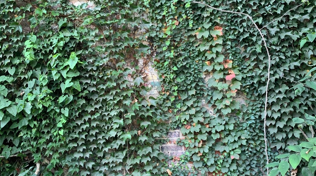 Corner of Alabama & St Joseph