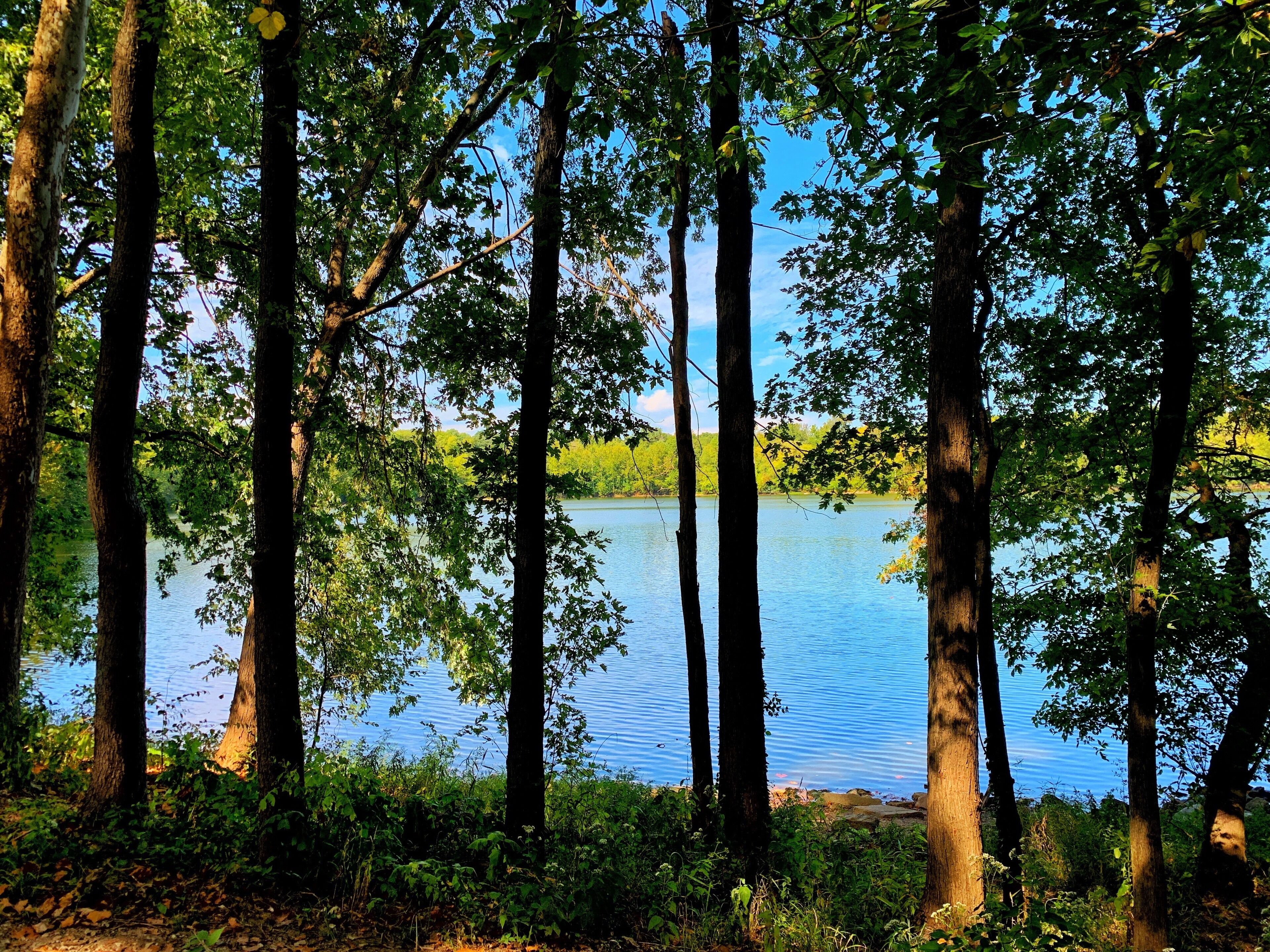 I fondly call this the 100 acre wood, Take a walk around the lake, through the woods, into the gardens and visit the Museum of Art.