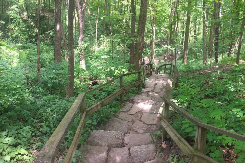 Un sentier pavé de pierres, bordé de rampes en bois, dans une zone boisée.