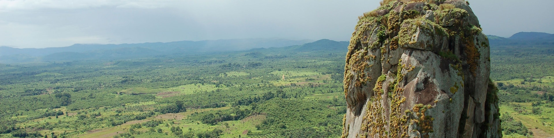 Rice fields, Sierra Leone. Image shot 2006. Exact date unknown.