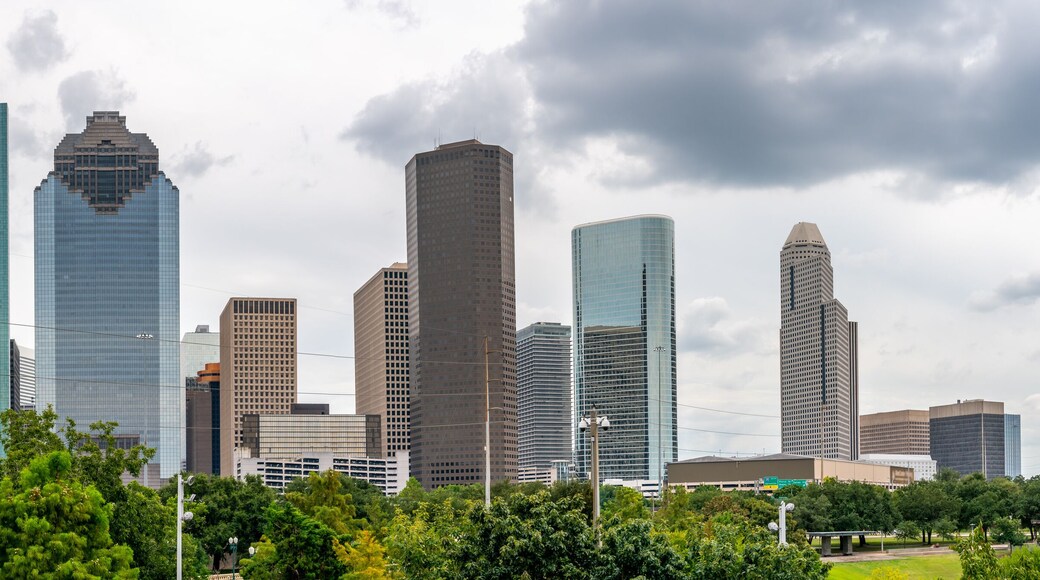 ساوث هوستون