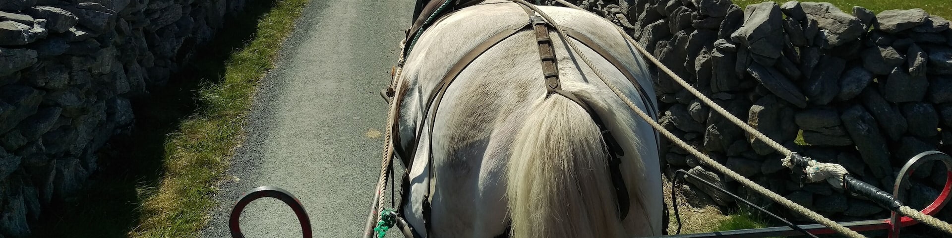 If you make it to Inisheer you have to take a horse drawn carriage ride around the island. We were lucky enough to get Dolly and she had quite the personality. We had to get out and encourage her up the hill. IN her defense she was still in training while we were there. If you do get to go say hello to Dolly!
https://midlifemilestones.com/unlock-ireland-with-this-insider-9-day-itinerary/