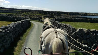 印尼希爾島