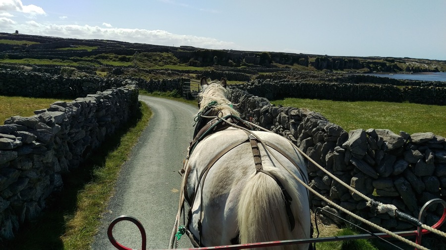 If you make it to Inisheer you have to take a horse drawn carriage ride around the island. We were lucky enough to get Dolly and she had quite the personality. We had to get out and encourage her up the hill. IN her defense she was still in training while we were there. If you do get to go say hello to Dolly!
https://midlifemilestones.com/unlock-ireland-with-this-insider-9-day-itinerary/