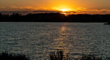 Un coucher de soleil sur un lac paisible, avec des arbres se découpant en silhouette sur le ciel.