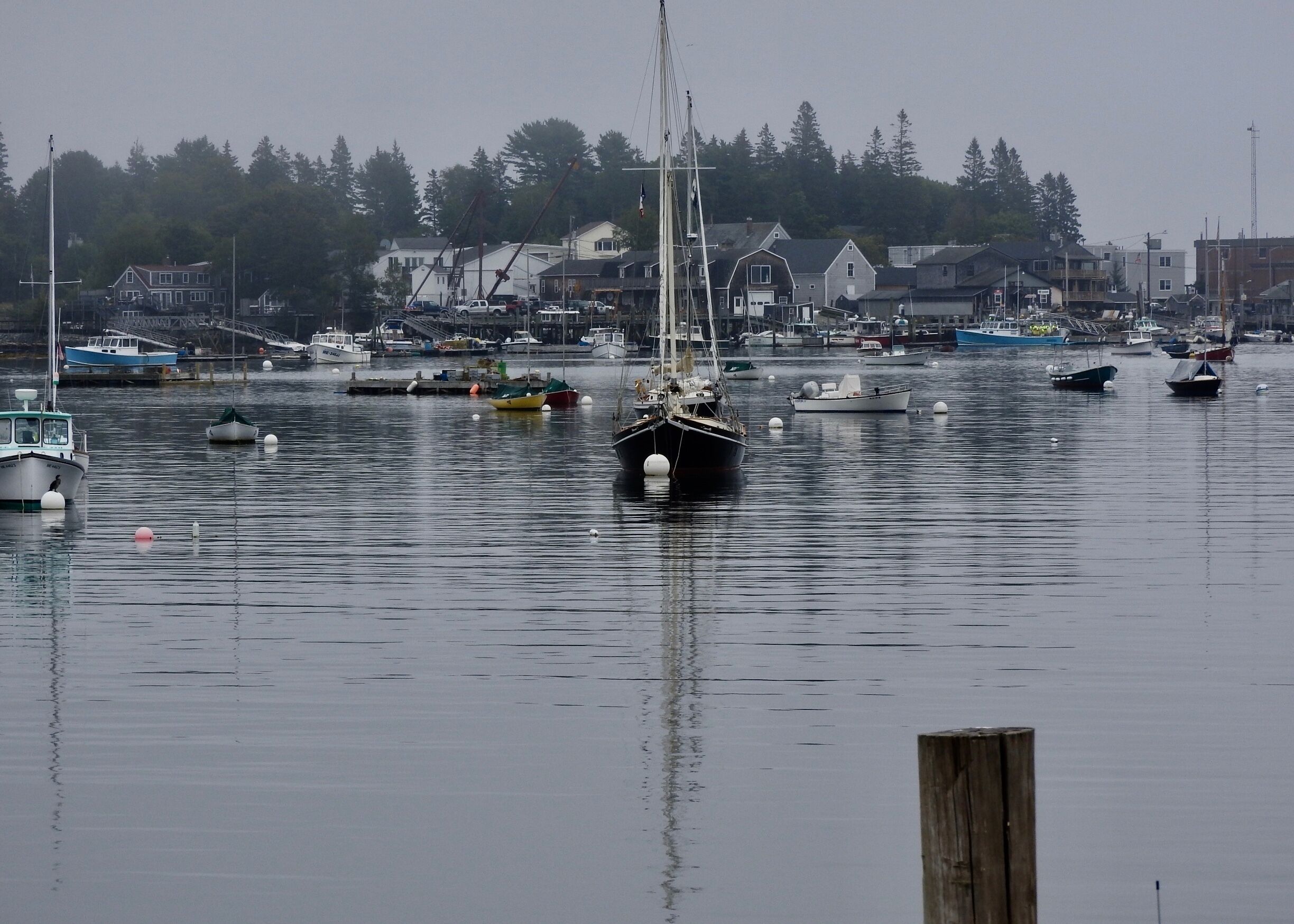 Fog in the harbour.

#LikeALocal