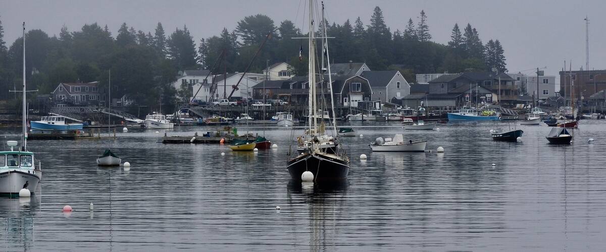 Fog in the harbour.
#LikeALocal