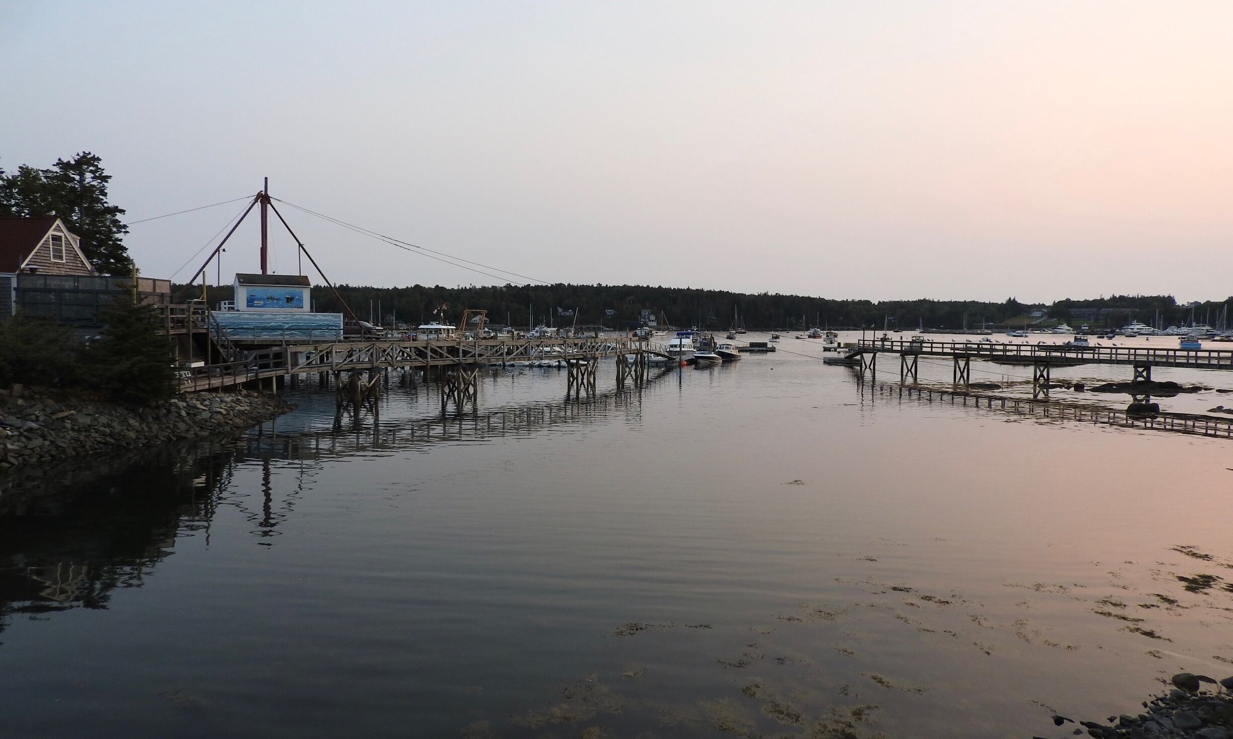 Stunning view of the harbour just before sunset along Clark Point Rd.

#Golden