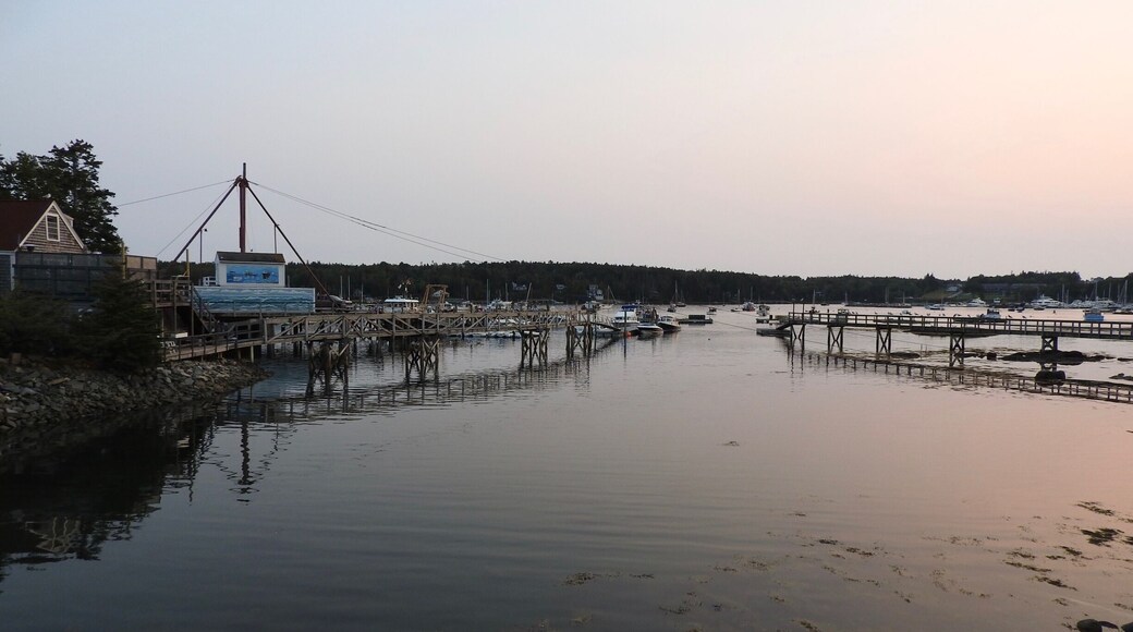 Stunning view of the harbour just before sunset along Clark Point Rd.
#Golden
