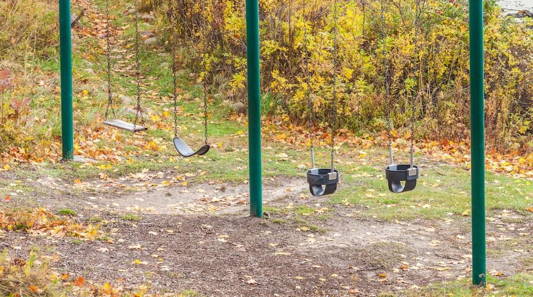 USA, Maine, Mt. Desert Island. Seal Harbor, seaside children's swing set during autumn.