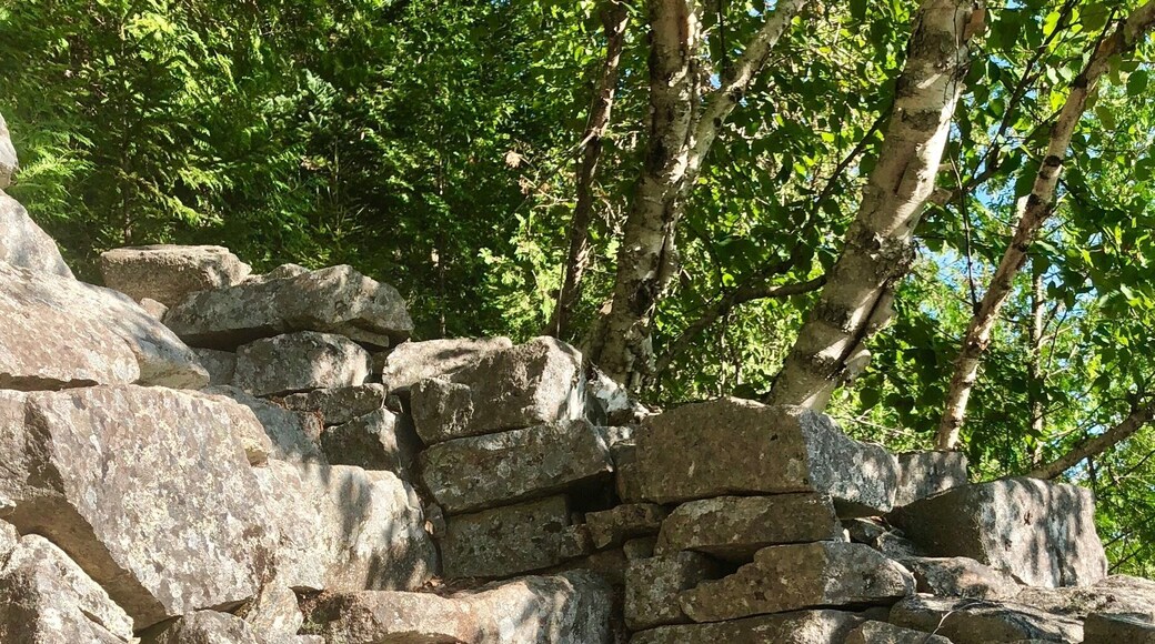 A very small glimpse of the hundreds of stone steps that were put into place to form this trail.