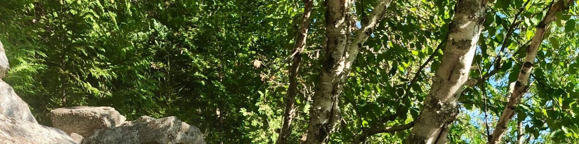 A very small glimpse of the hundreds of stone steps that were put into place to form this trail.