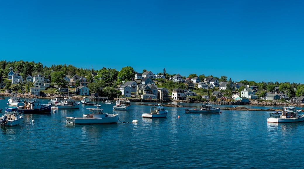 Lobster Boats Anchored in a Maine Harbor
