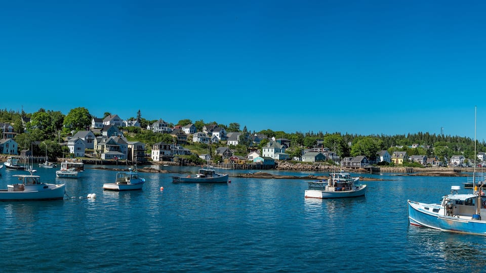 A harbor with multiple boats docked, surrounded by a coastal town with houses and greenery.