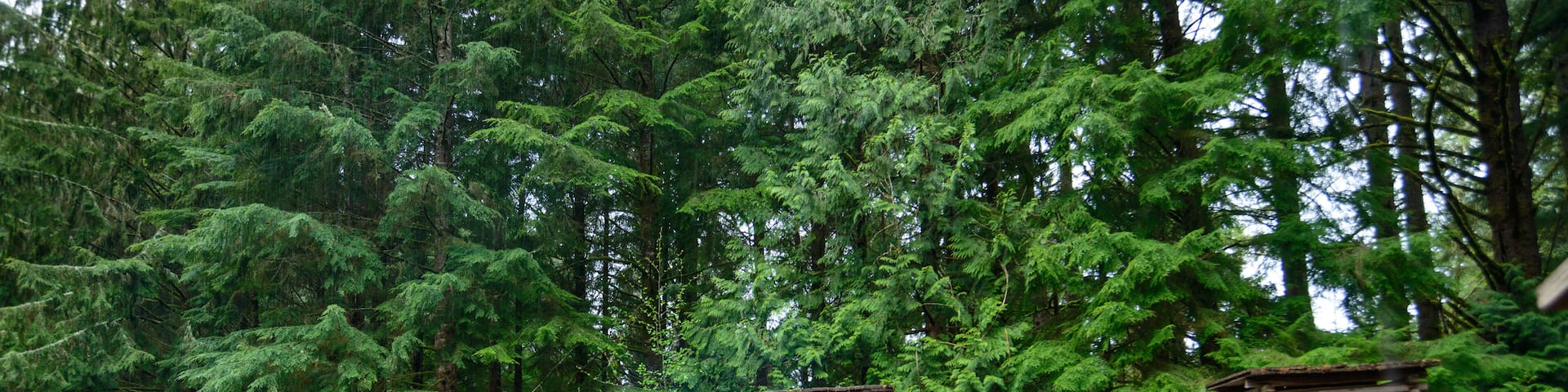 Lewis and Clark National and State Historical Parks