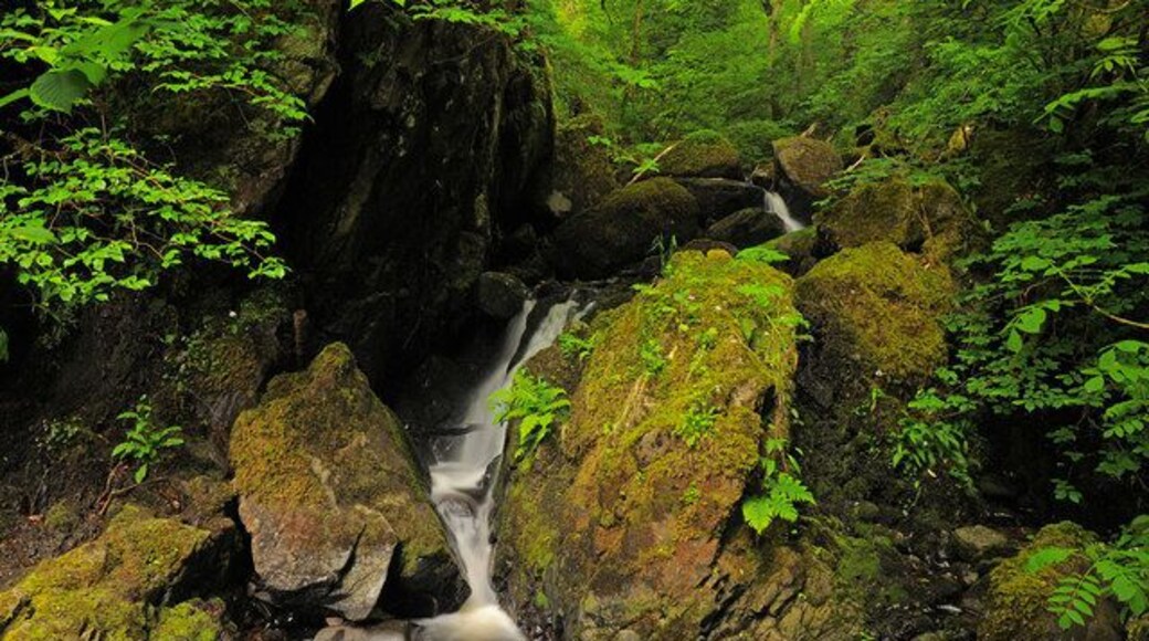 Small waterfall near Abriachan