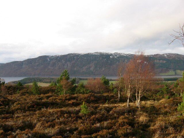 A landscape with a lake, mountains, and sparse vegetation.