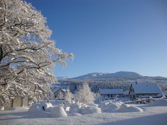 Xmas Day 2009 A nice wintry scene at An Darach, Farr