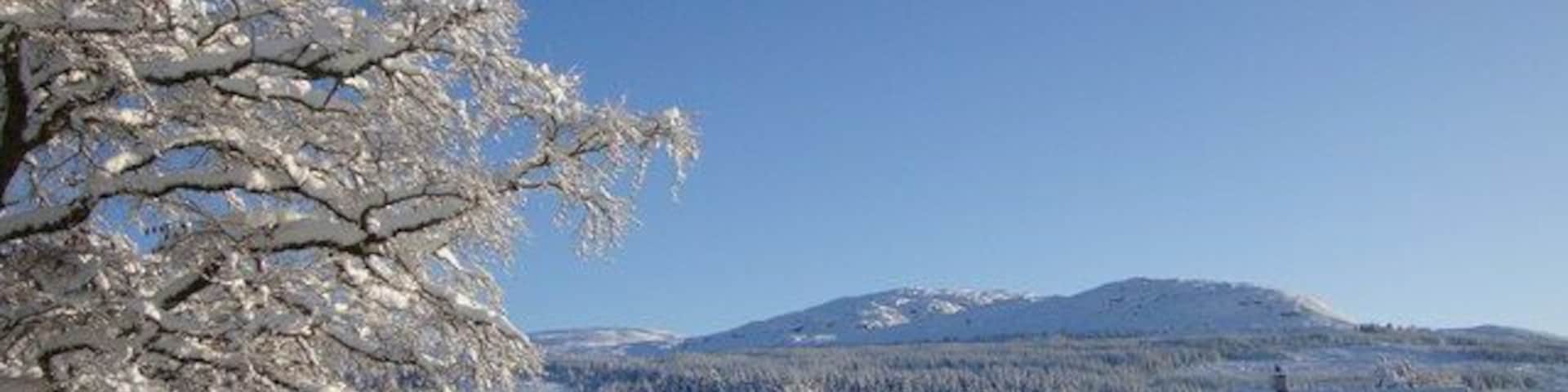 Xmas Day 2009 A nice wintry scene at An Darach, Farr