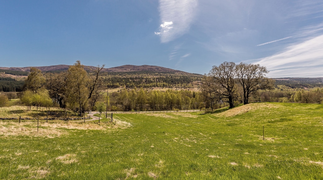 Trees For Life Lodge