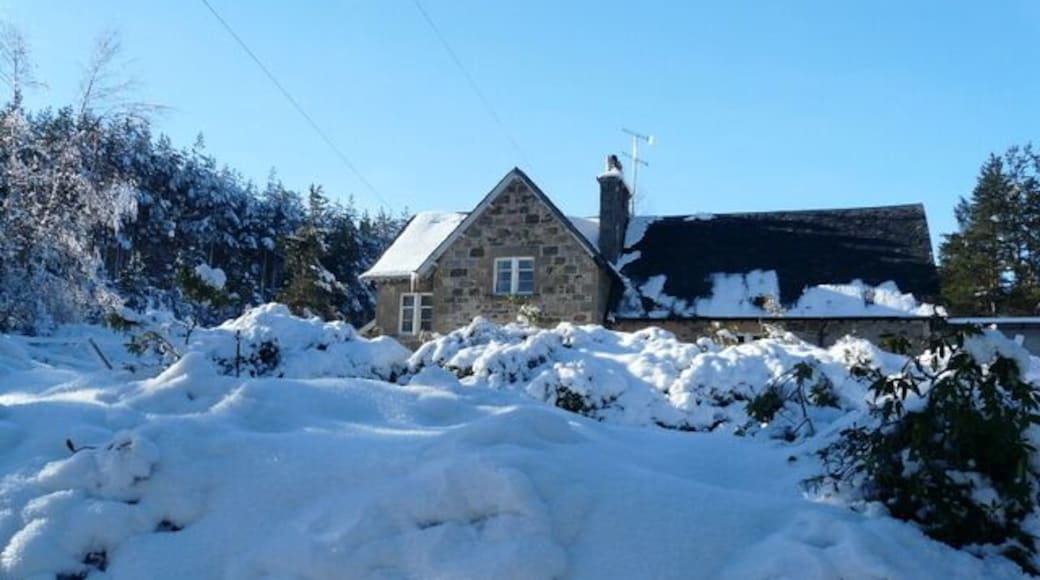 Snowy corner near Moy
