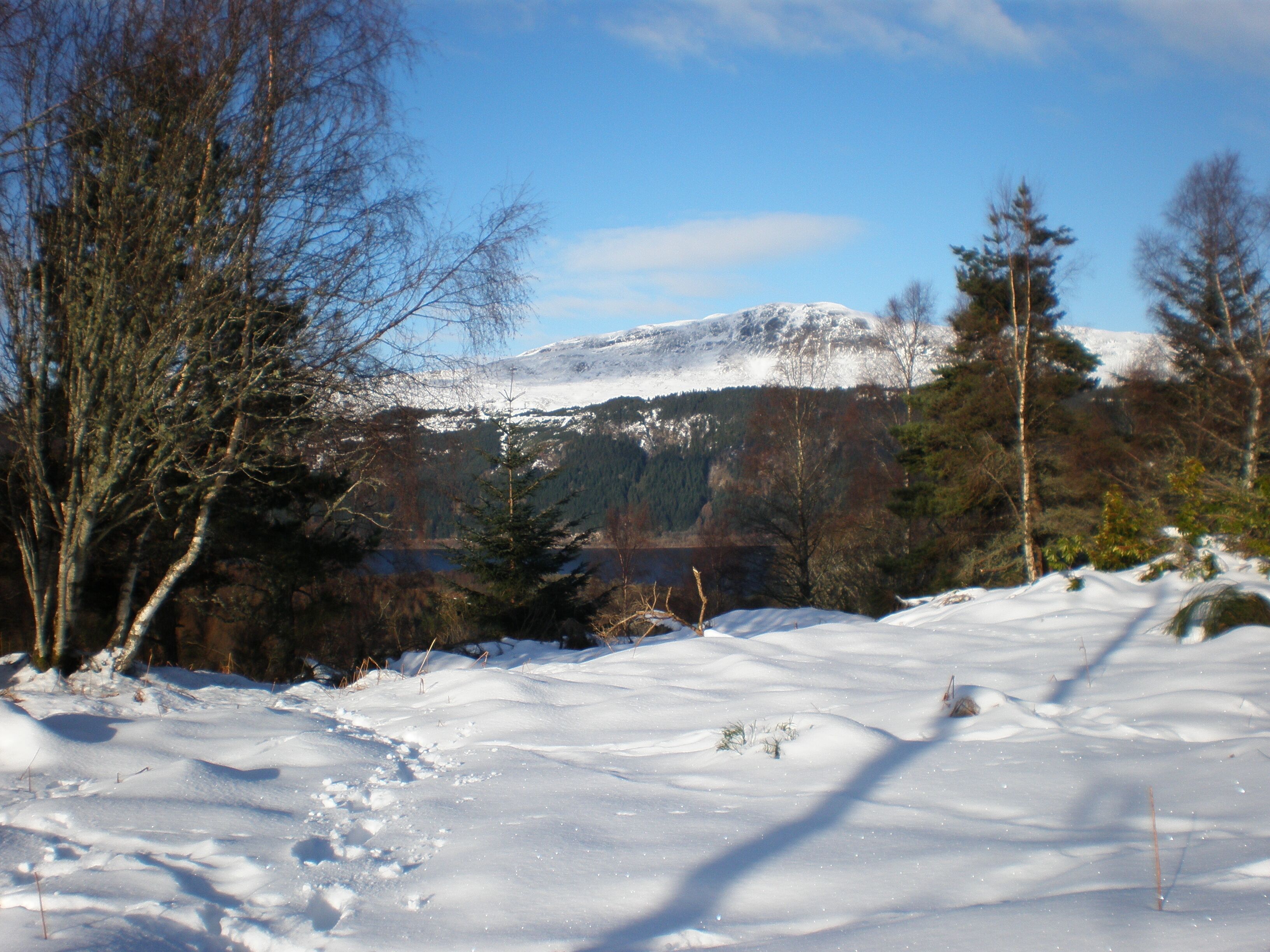 Meall Fuar-mhonaidh across Loch Ness from Upper Foyers