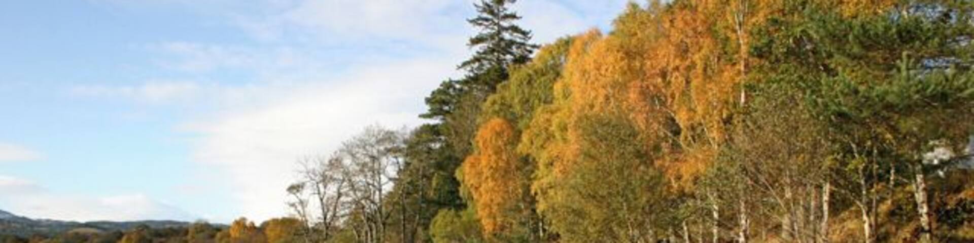 Loch Meiklie Autumn colours on Loch Meiklie along Glen Urquart.