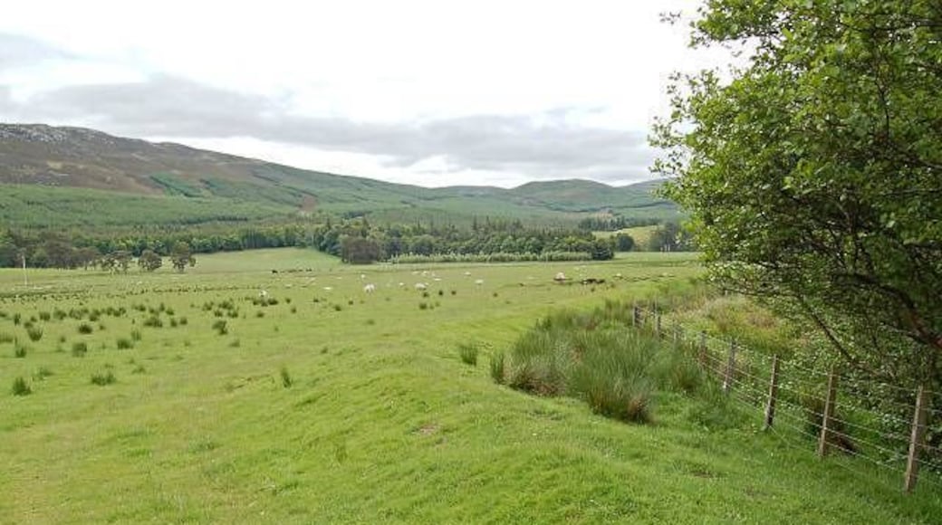 Lands by Mains of Flichity. Grazing land and levee by Mains of Flichity