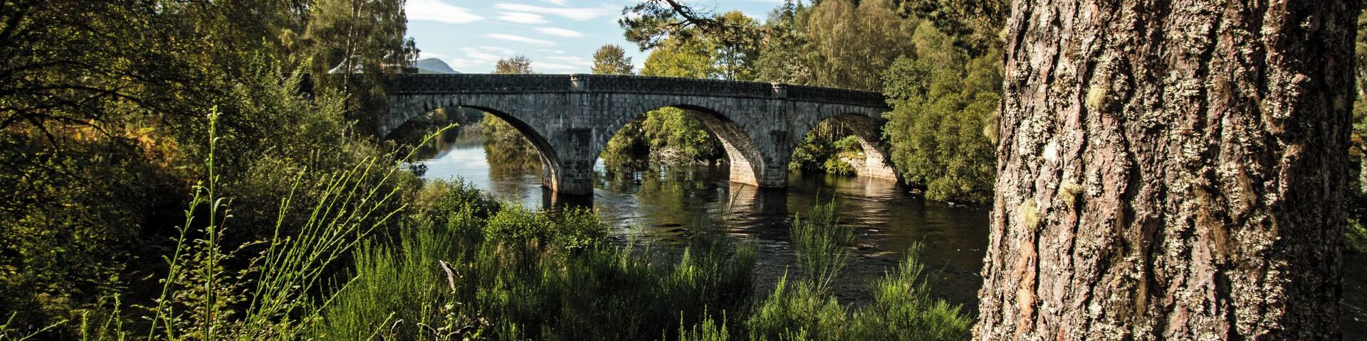 Aufgenommen nahe der Torgyle Bridge.