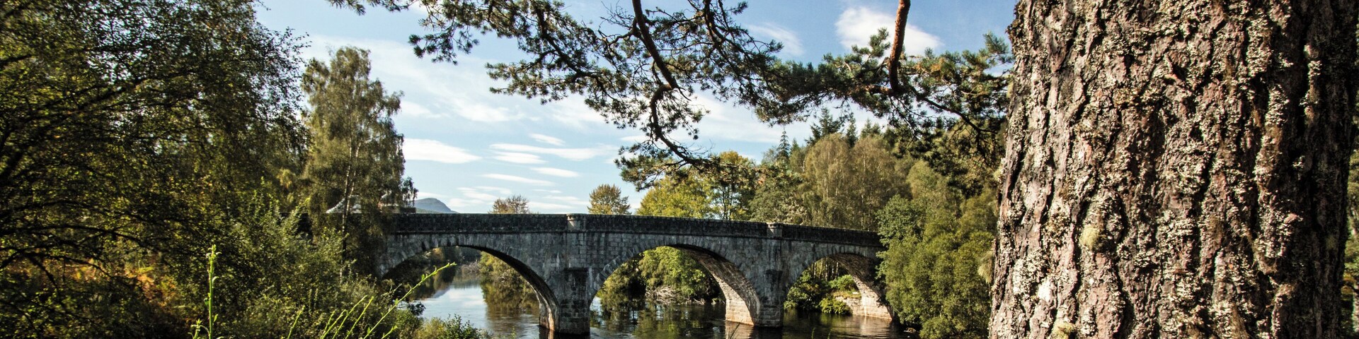 Aufgenommen nahe der Torgyle Bridge.