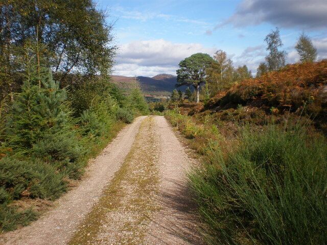 Track in Inverwick Forest going down to Torgyle Bridge