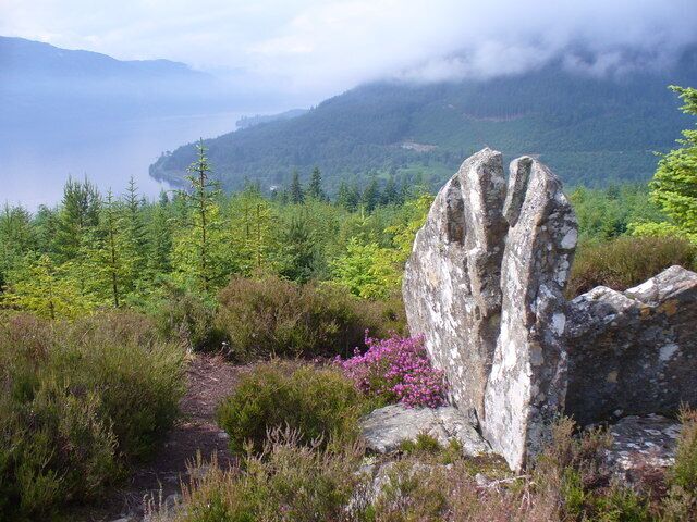 A rocky outcrop in a forested area with a lake and mountains in the background.