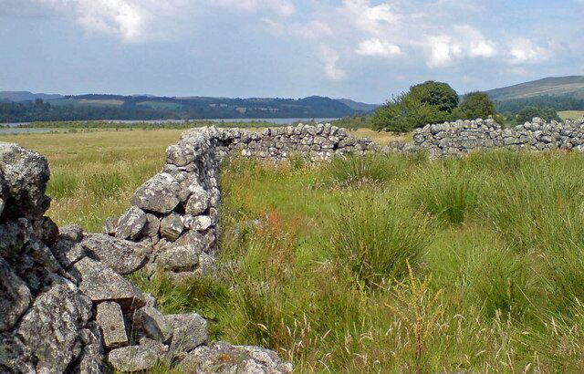 Old Sheep Fank An old dry stone-wall sheep fank (pen) near Ballindalloch above Loch Mhor
